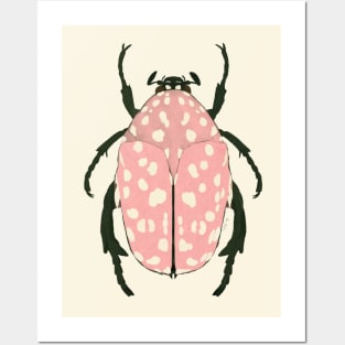 Pink beetle insect Posters and Art